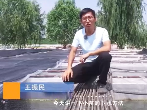 必赢亚洲幼苗的下水步骤