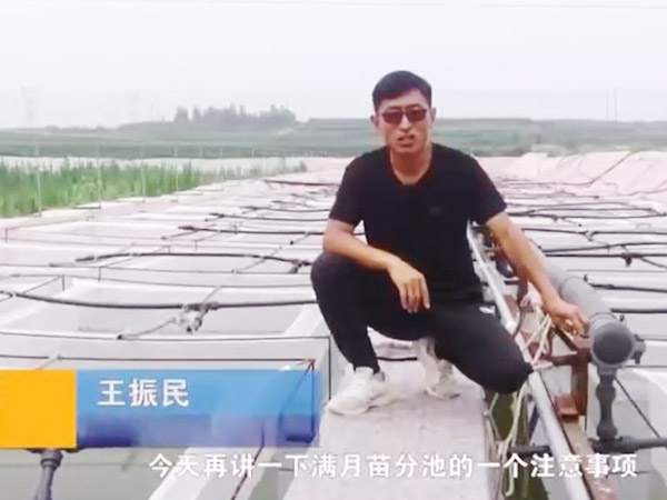 必赢亚洲满月苗确当苦衷项