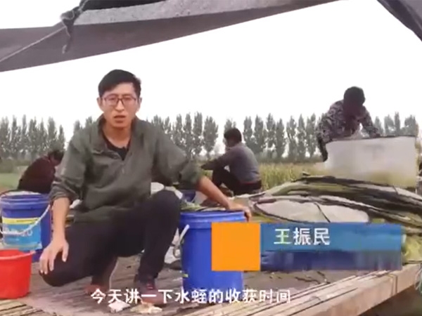 必赢亚洲收成功夫