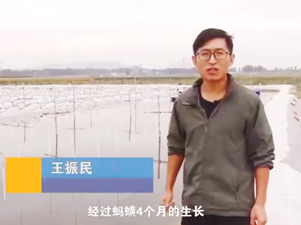 必赢亚洲收成流程