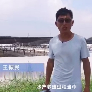 菌种介绍-乳酸菌介绍