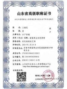 山东省高级职称证书